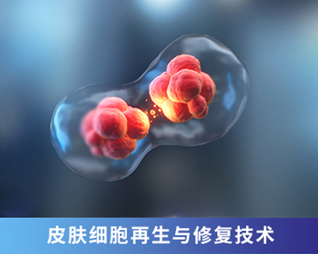 皮膚細胞再生與修復技術